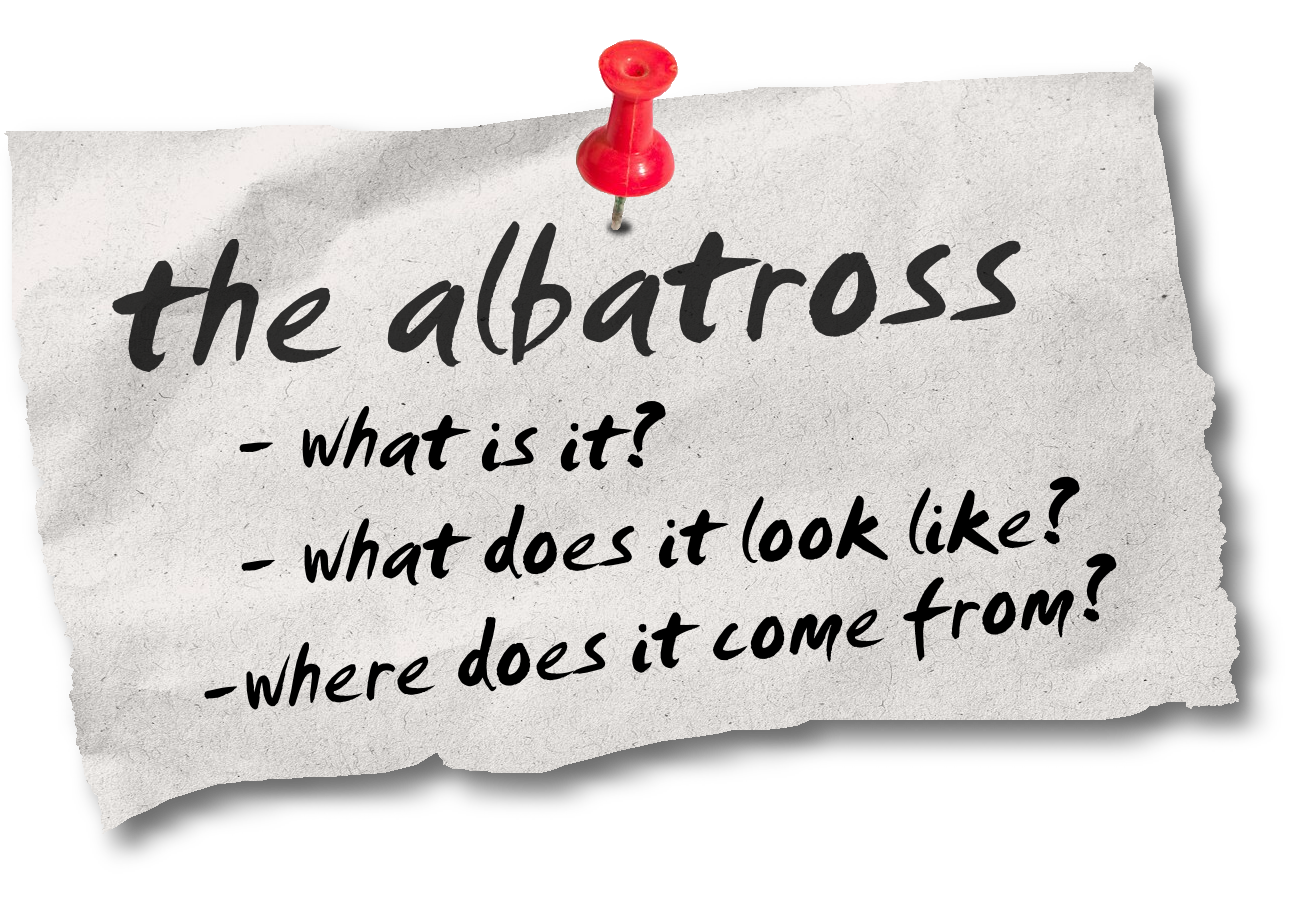 Albatross