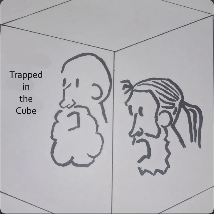 Trapped In The Cube