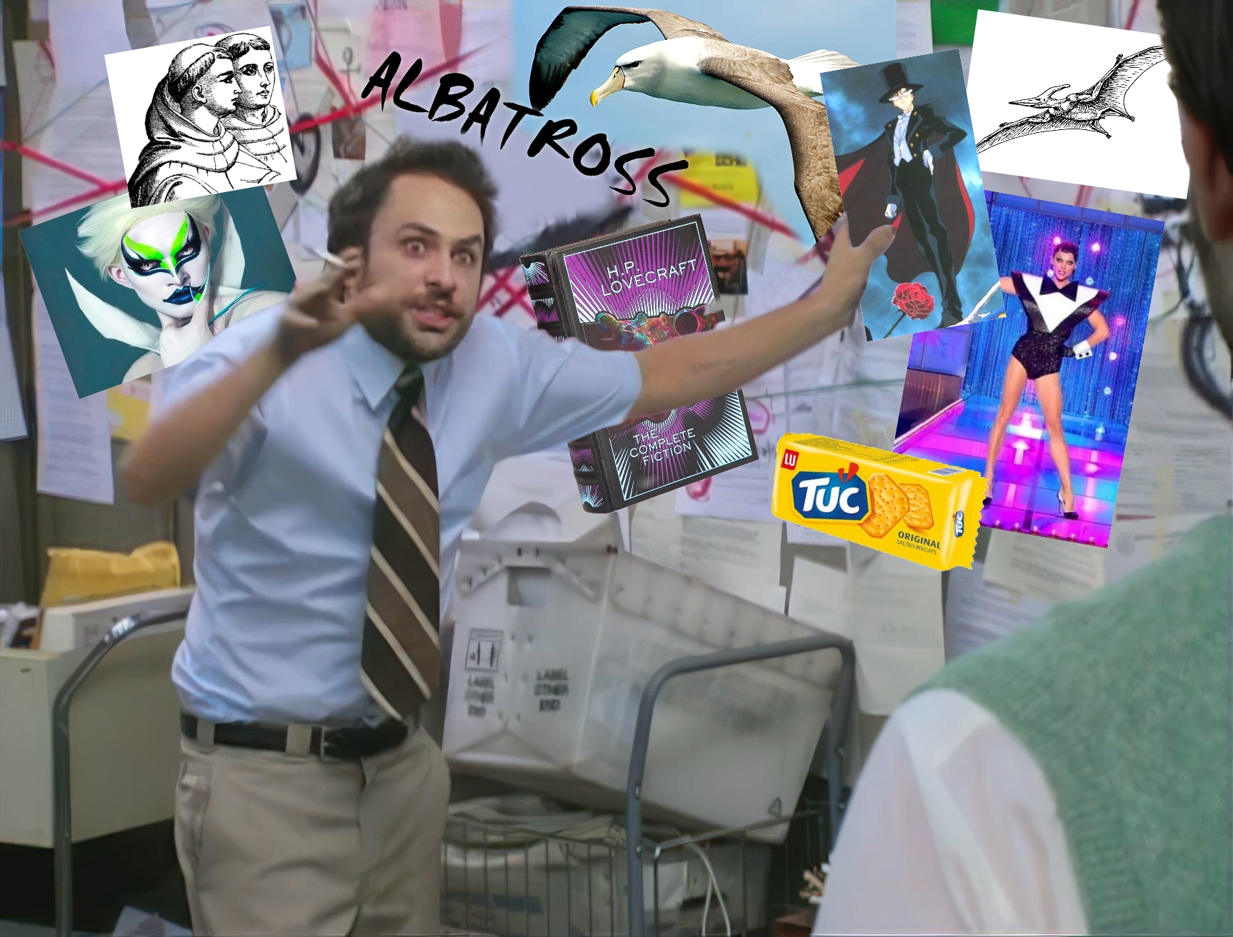 Me trying to figure out what the albatross looks like